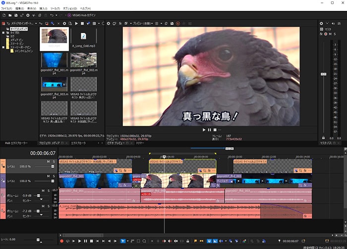 動画編集ソフトVegas Pro（ベガスプロ）