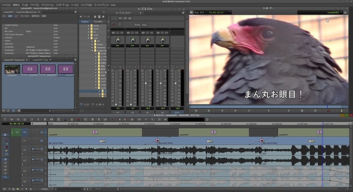 動画編集ソフトAvid Media Composerのインターフェイス