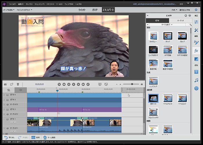 Adobe Premiere Elements2021の使い方(1) 機能の紹介 動画編集ソフト アドビプレミアエレメンツ入門