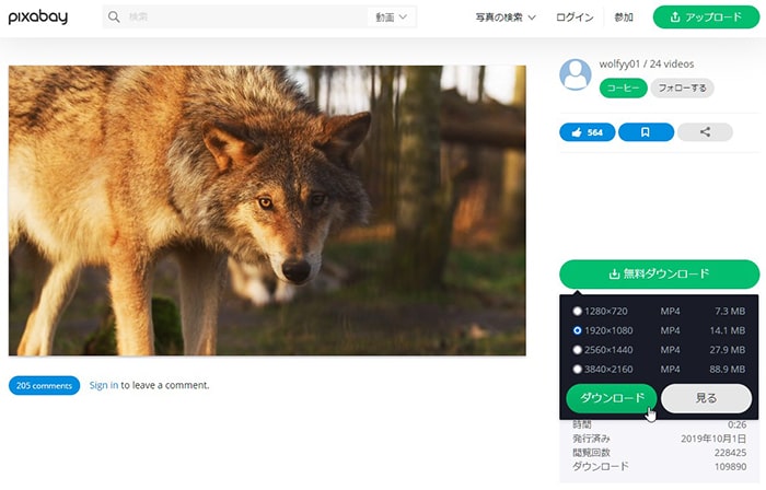 無料動画素材サイトPixabay