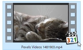 無料動画素材サイトPexels