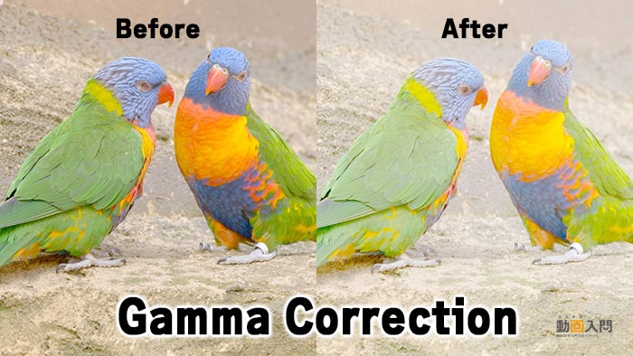 Gamma Correctionビフォー＆アフター