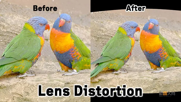 Lens Distortionビフォー＆アフター